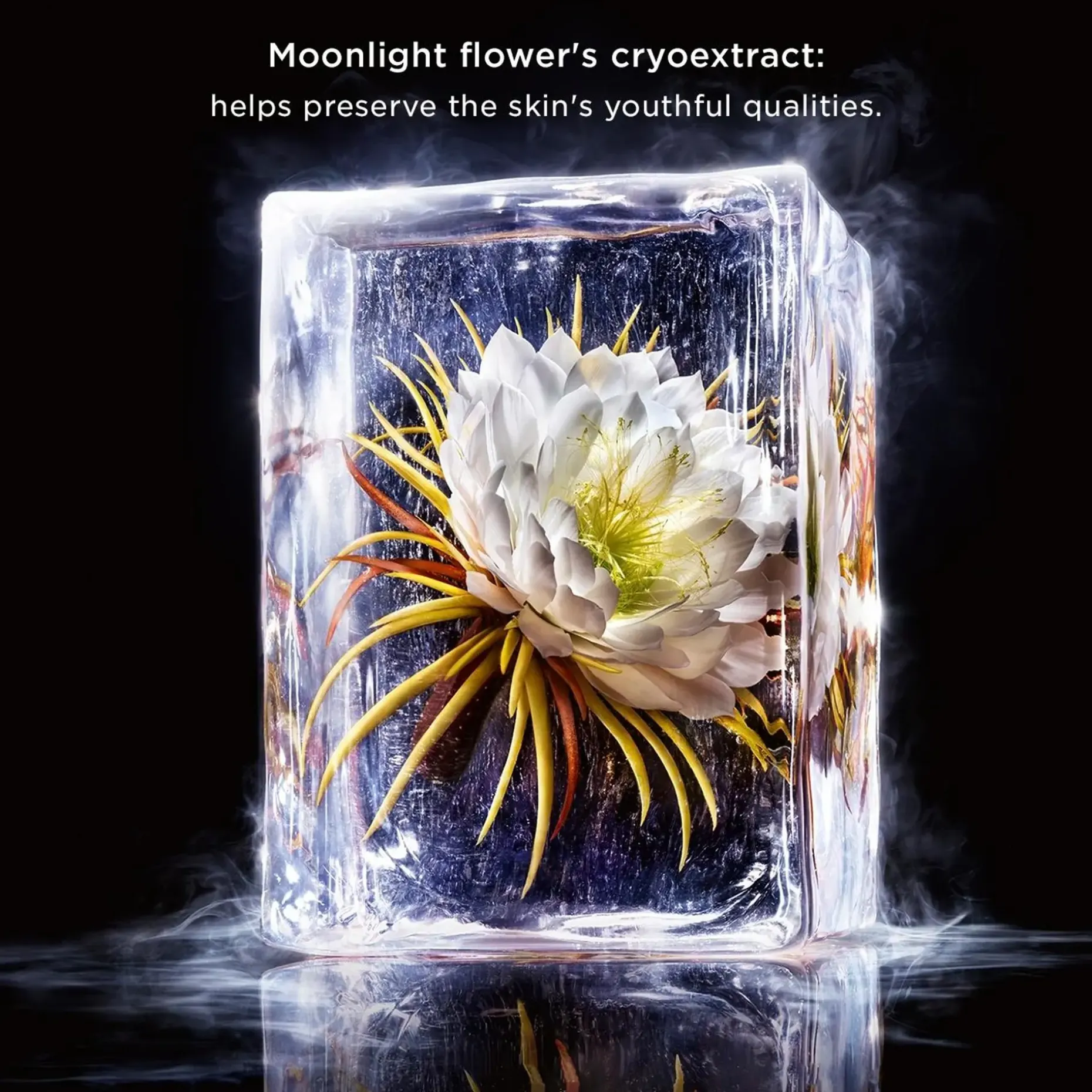 Clarins Precious La Crème Riche Age-Defying Moisturiser voide 50 ml