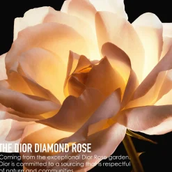 DIOR Prestige La Crème Texture Essentielle Refill täyttöpakkaus 50 ml