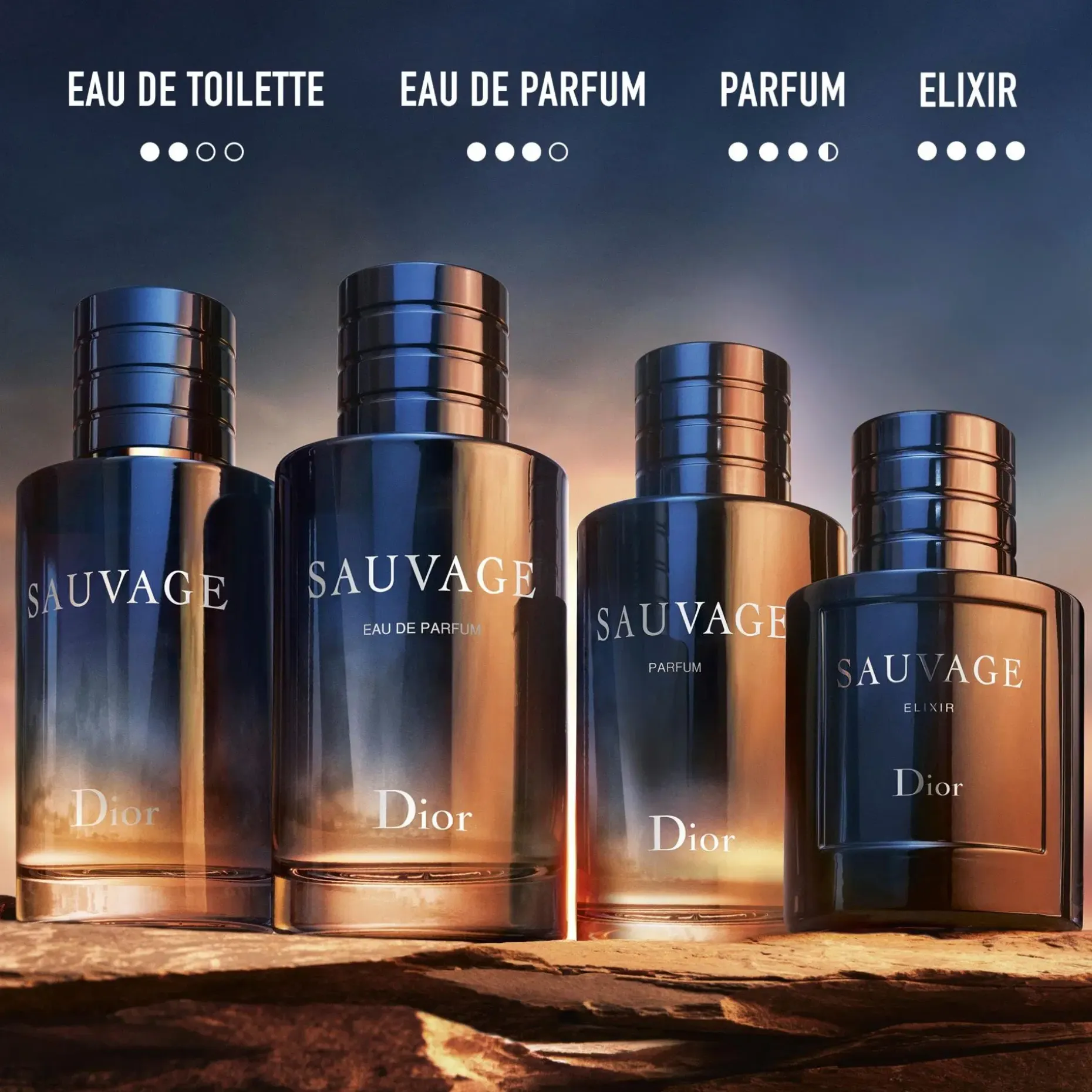 DIOR Sauvage EdT tuoksu 60 ml