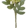 Finnmari Krysanteemi 50 cm vihreä