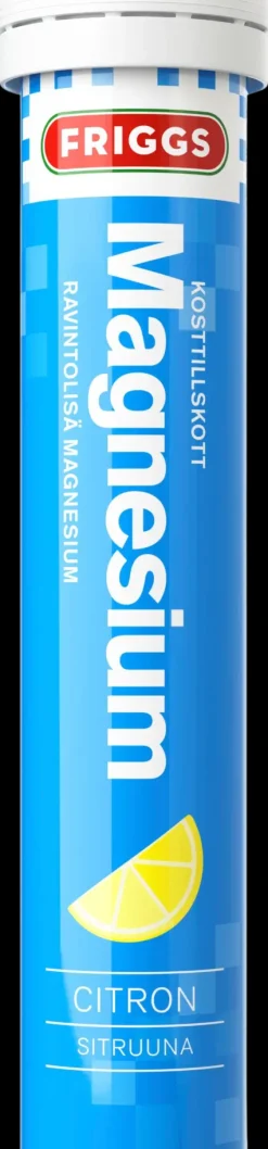 Friggs magnesium poretabletti 20kpl Sitruuna