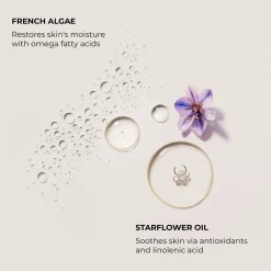 Laura Mercier Serum Body Cream Ambre Vanille vartalovoide 200 ml
