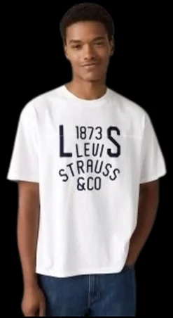 Levi's Lockwood practice t-paita