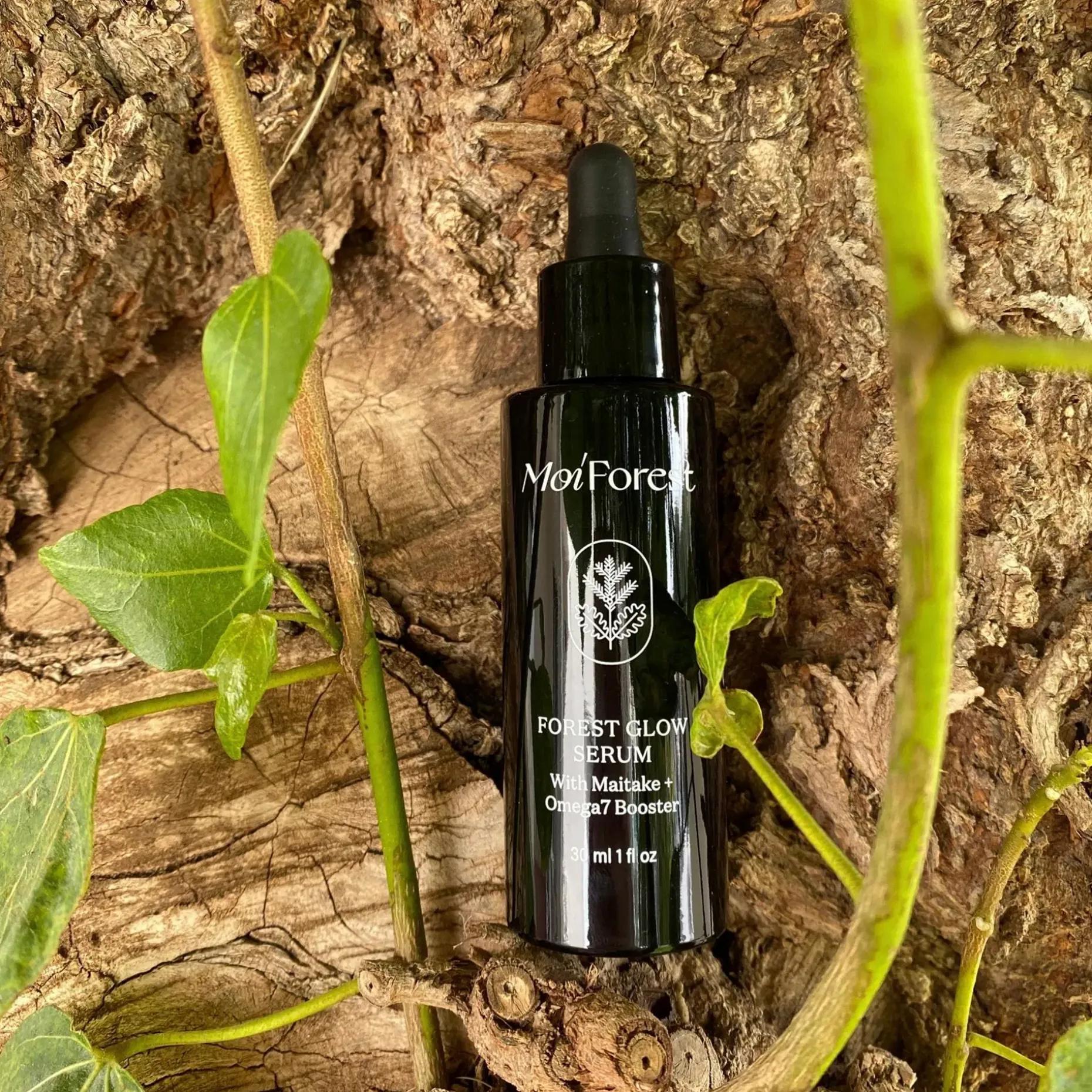 Moi Forest Forest Glow Serum Kasvoseerumi 30 ml