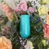 Vesi Refresh-mint samppanjapikari 180 ml