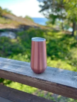 Vesi Rosé You Say samppanjapikari 180 ml