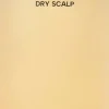Whamisa Organic Seeds Dry Scalp -shampoo 490ml