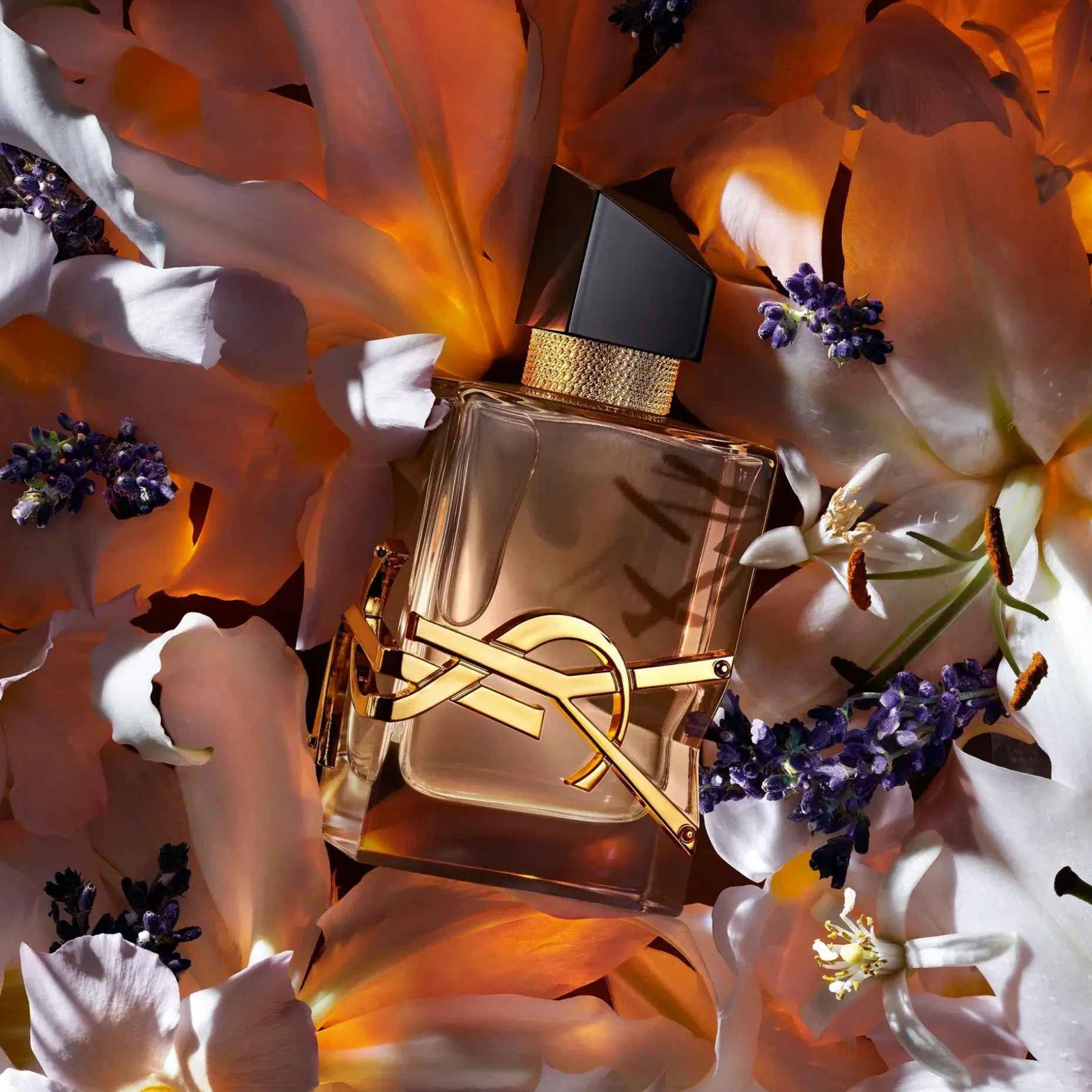 Yves Saint Laurent Libre EdP Florale tuoksu 50 ml